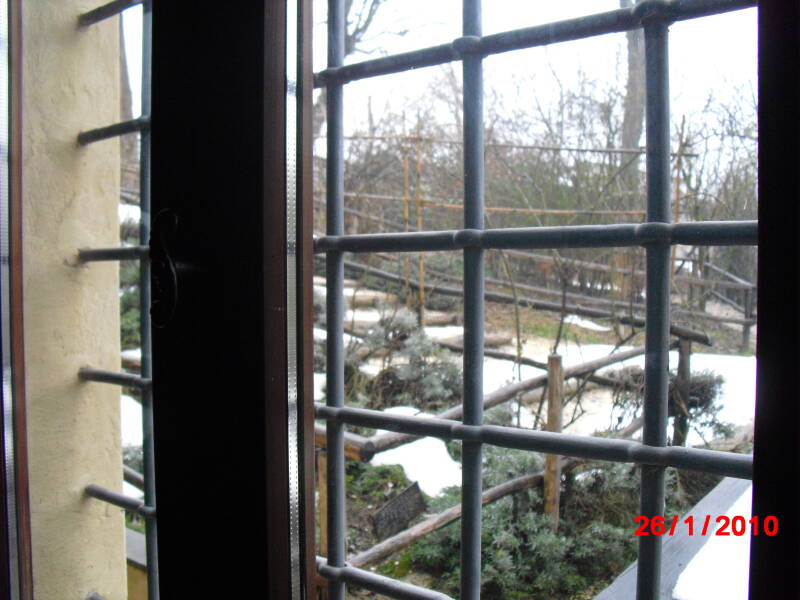 cimg0684-standard.jpg