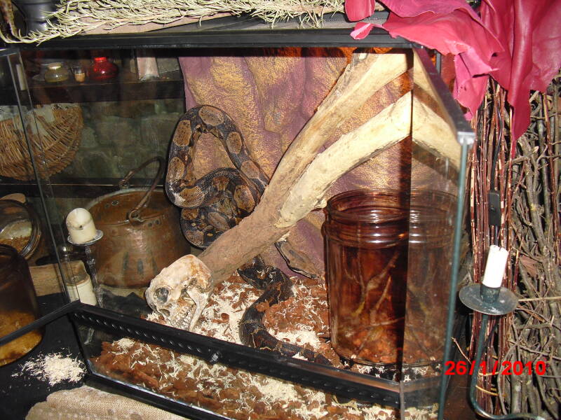 cimg0761-standard.jpg