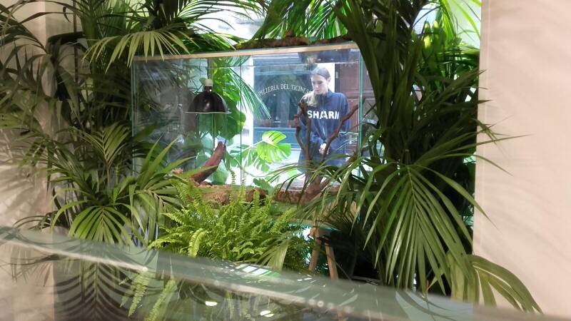 img-20161024-wa0175-standard-111379.jpg
