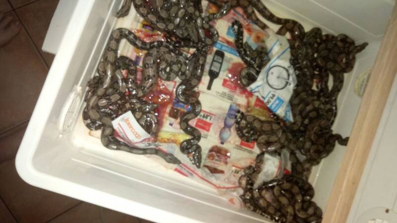 img-20170418-wa0038-standard.jpg