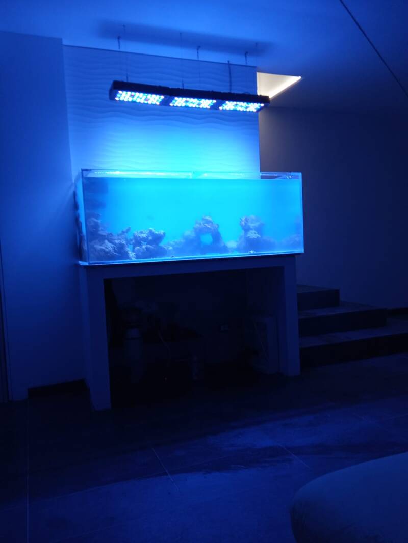 img-20190921-wa0042-standard.jpg