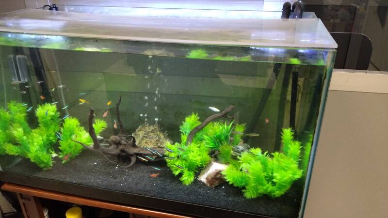 img-20220125-wa0033-standard.jpg