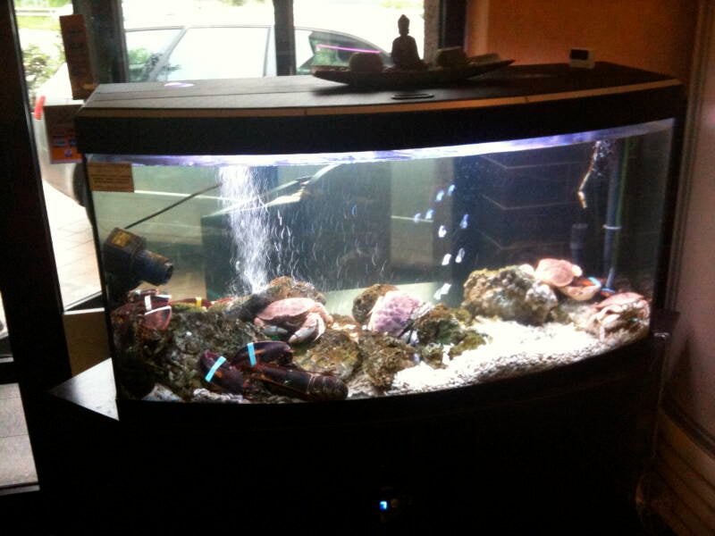 img_0505-standard-s5i3g3.jpg