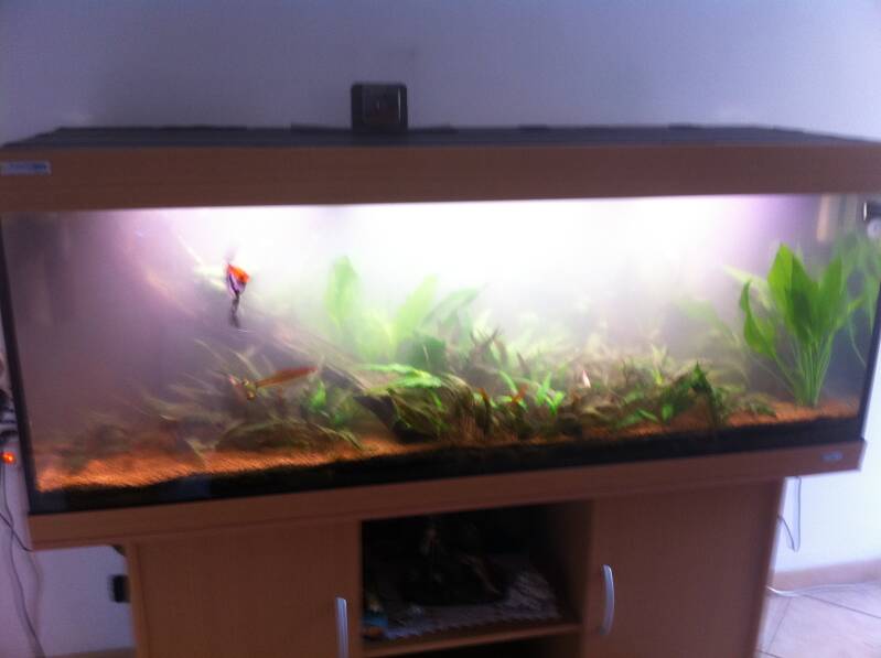 img_2128-2-standard.jpg
