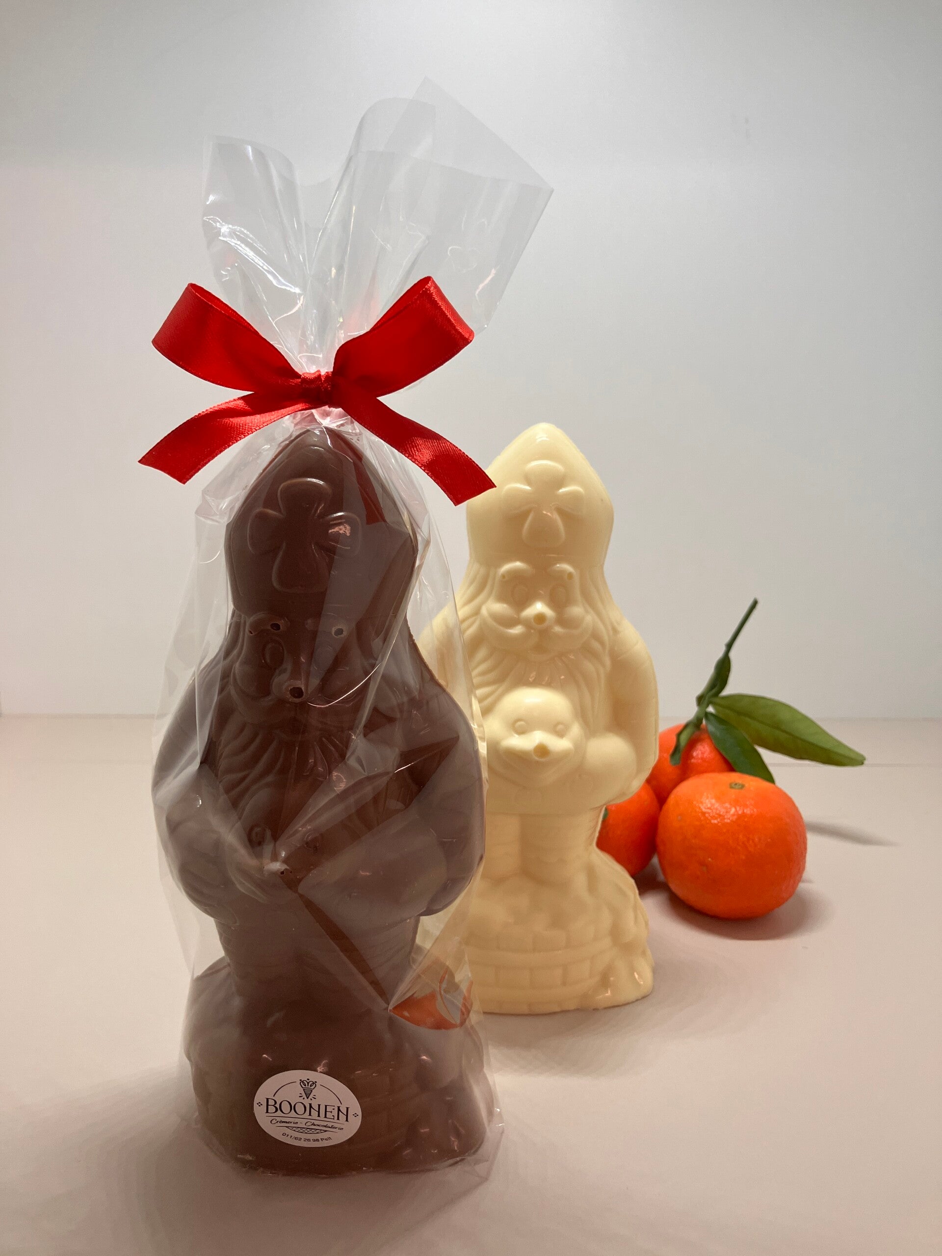 Holgoed  Sint met zwemband