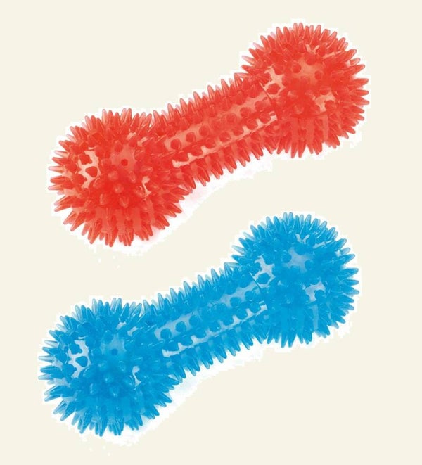 Squeaky Dumbell (15.5cm) Blue/Red