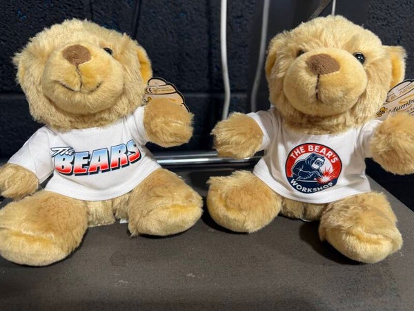 Bears Teddy Bear