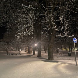 img_0805.jpeg