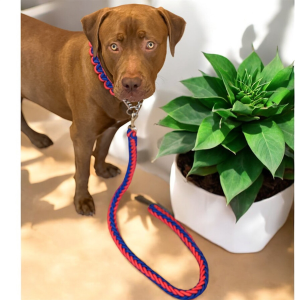 Paracord Set Rot-Blau