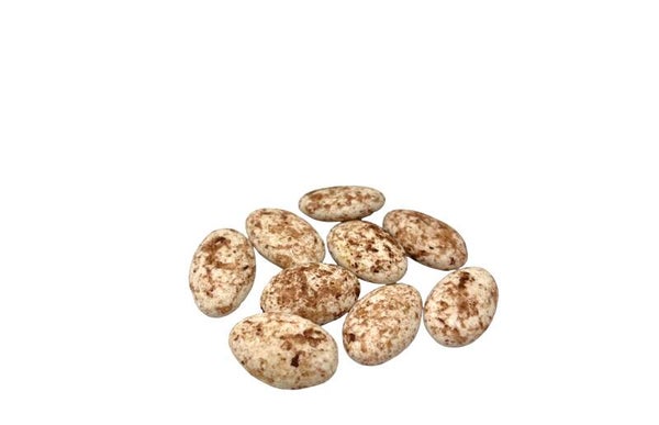 Suikerbonen Papa Chocolat hazelnoot gemarmerd – Pure Chocolade 45% cacao