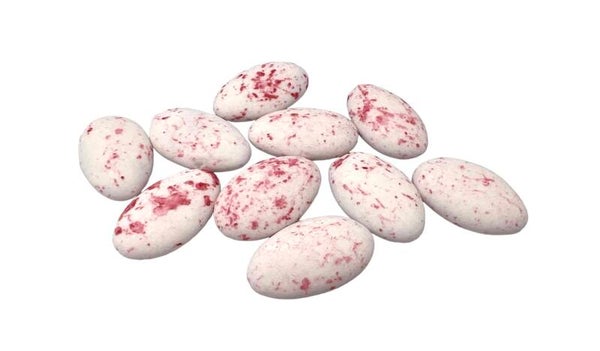 Suikerbonen Papa Chocolat Framboos gemarmerd – Pure Chocolade 45% cacao