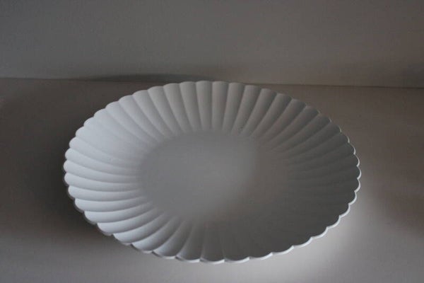 Witte presentatieschaal