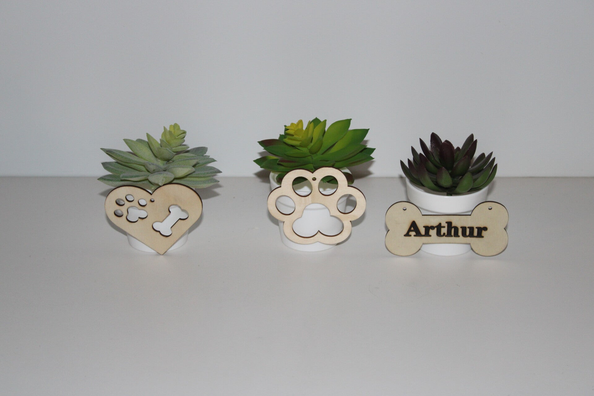 Collectie hond witte bloempotjes met houten decoratie en vetplant