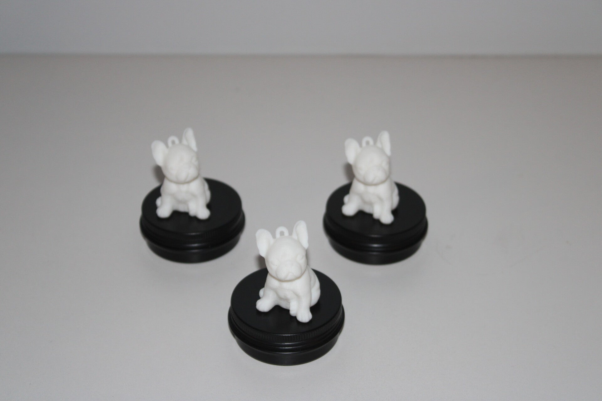 Collectie hond zwart potje met witte hond en muntjes