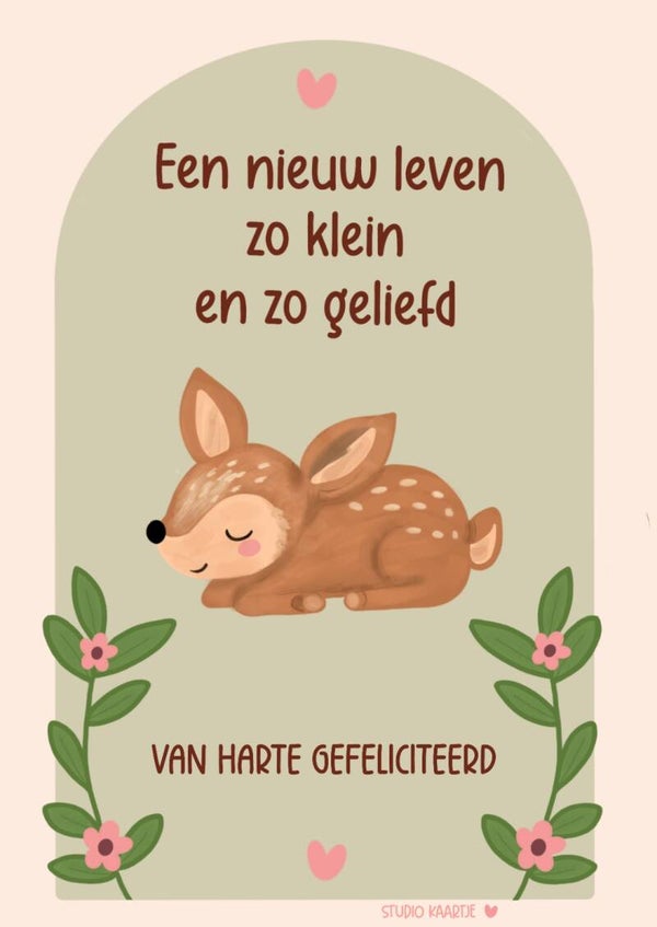 Geboorte