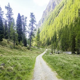 wanderweg-lignitz-web-2.jpg