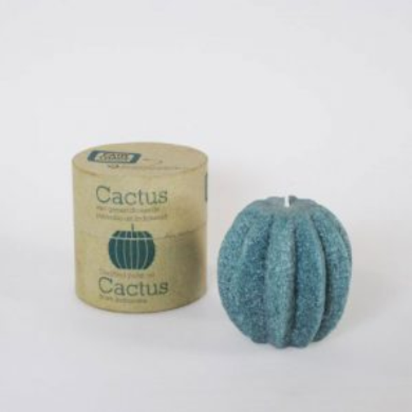 Kaars Cactus