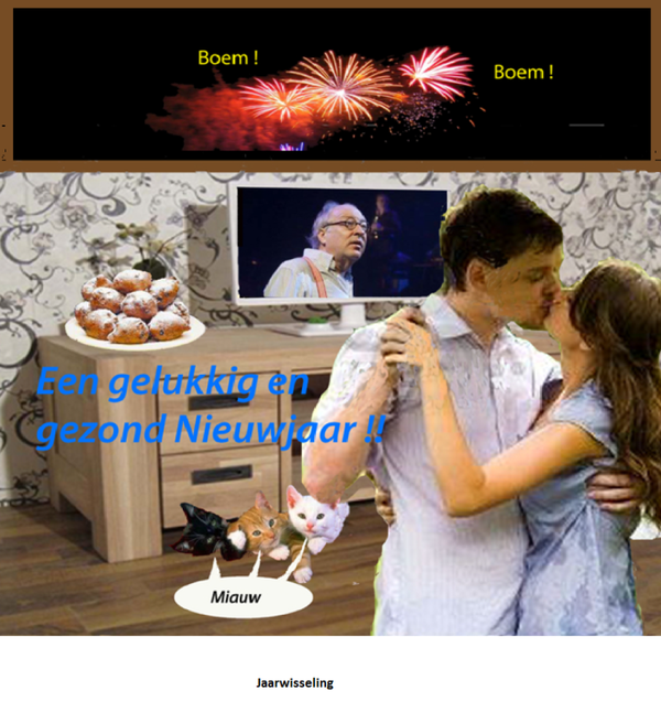 Nieuwjaarskaart met viering
