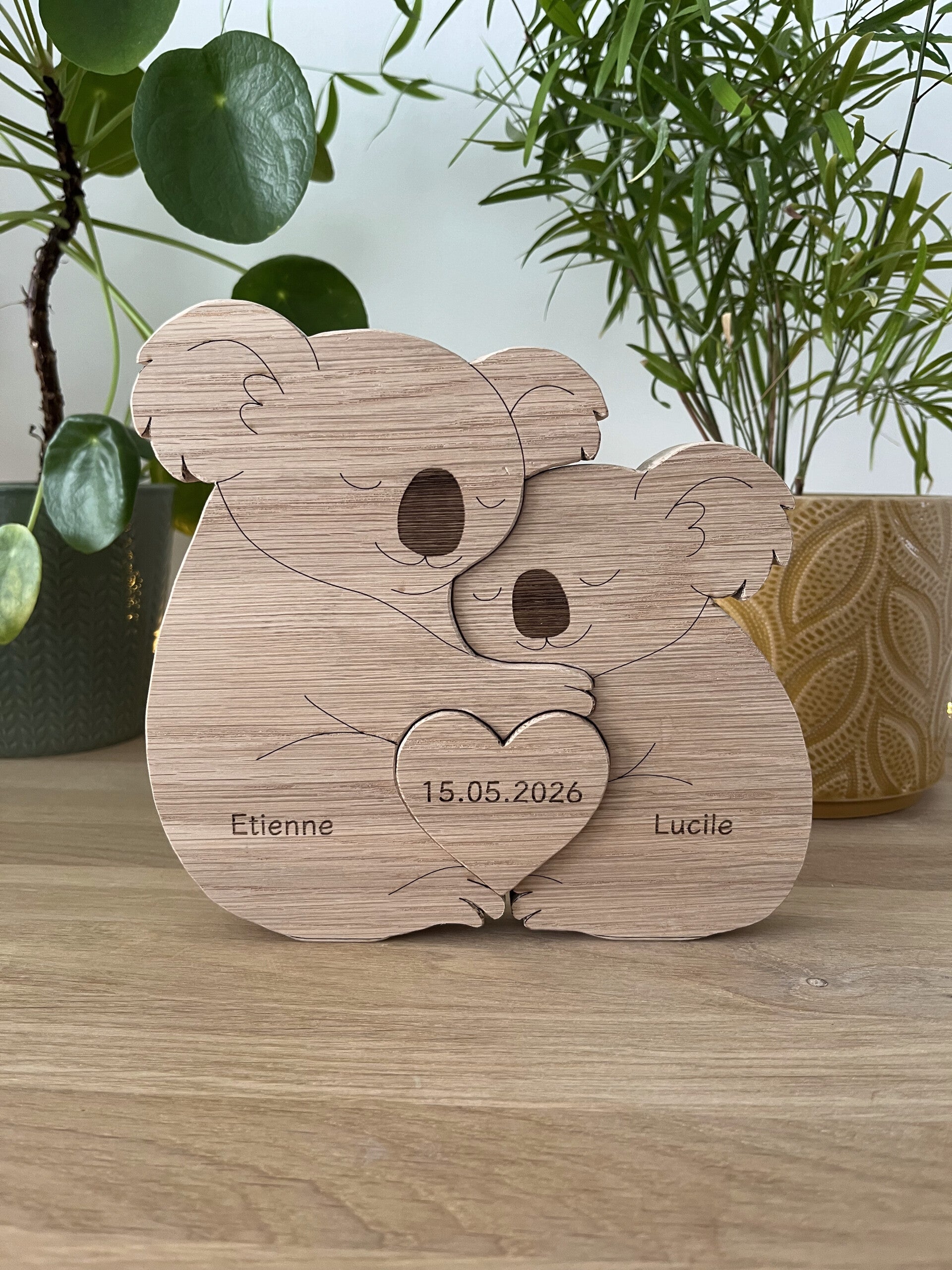 Famille animaux Koala