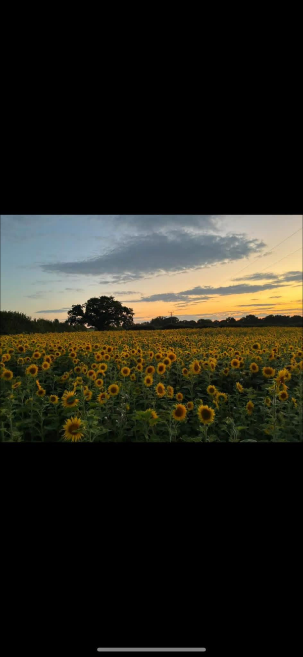 All day pass 3 and over🌻