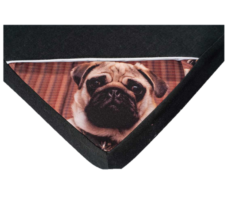 Hondenkussen met foto van uw hond bij Ervip Almelo