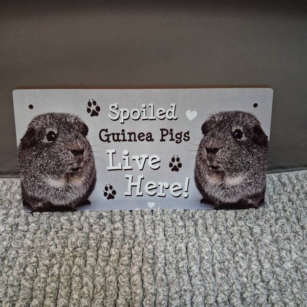 Tekstbordje (hout): Spoiled Guinea Pigs...