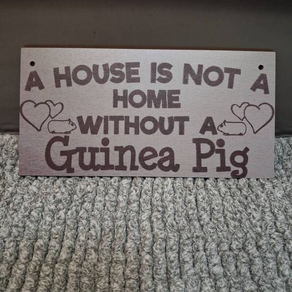 Tekstbordje (hout): A house is not a home...