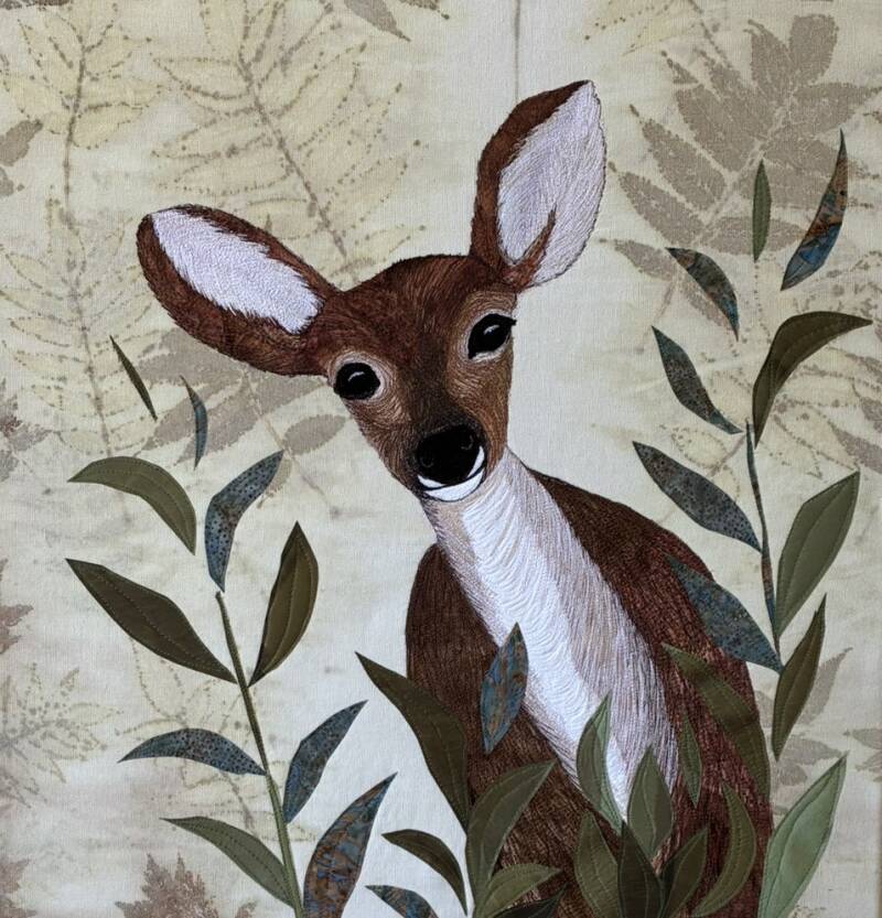 Fallow deer - available