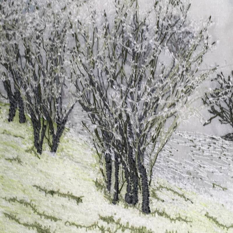 Frost on Hawthorn - available