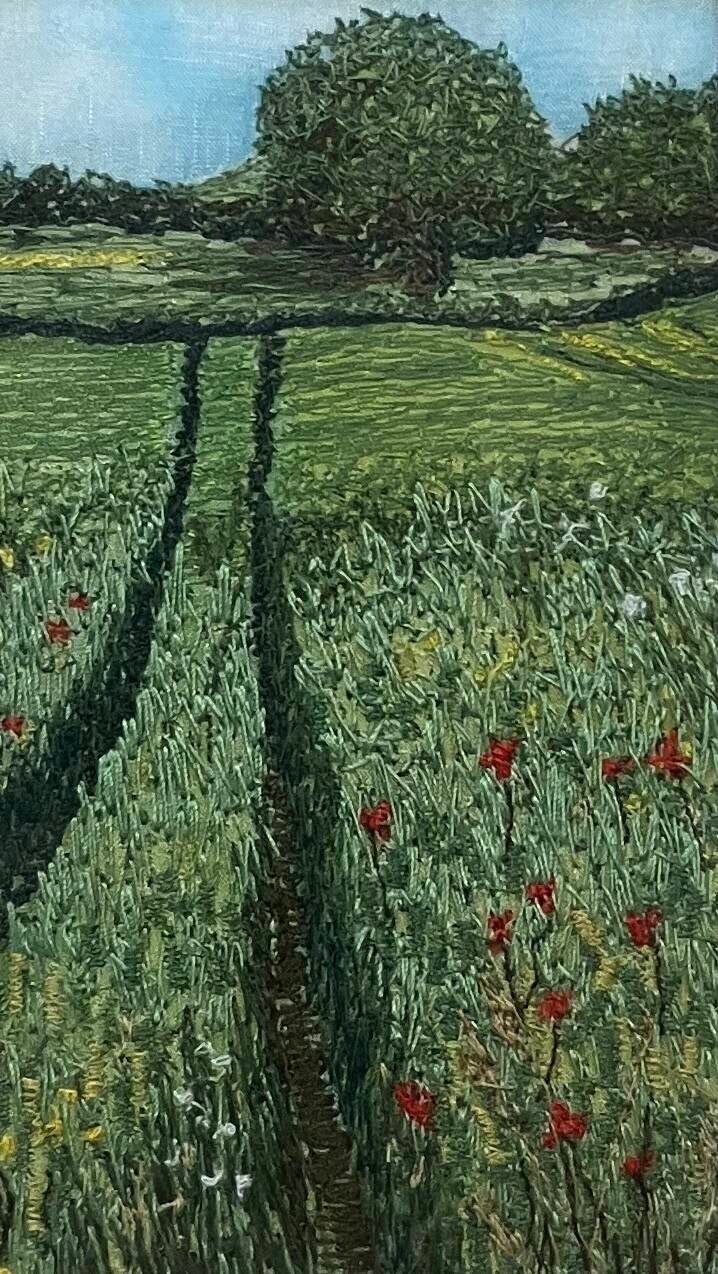 Corn Rows - available