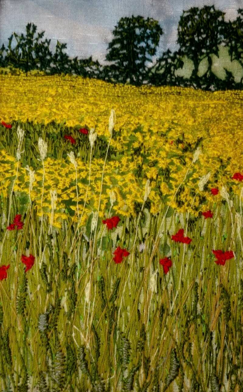 Rapeseed Field - sold