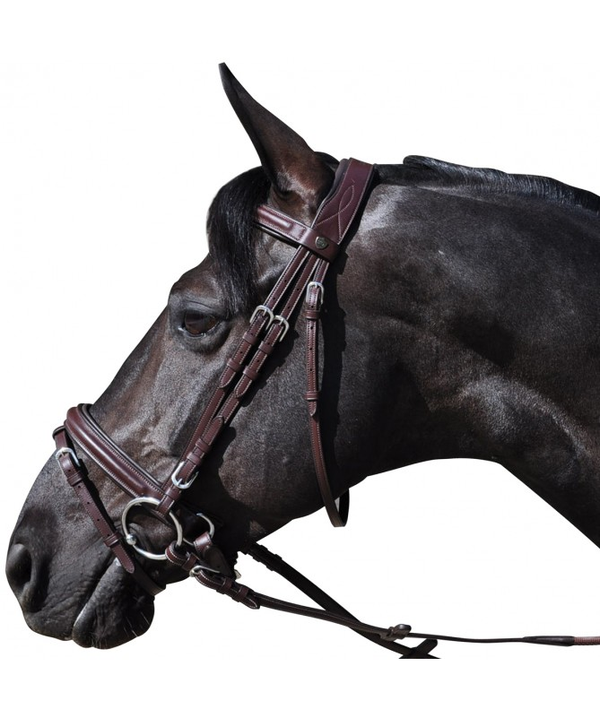 Bridon F&C Hickstead cuir marron + rênes pony