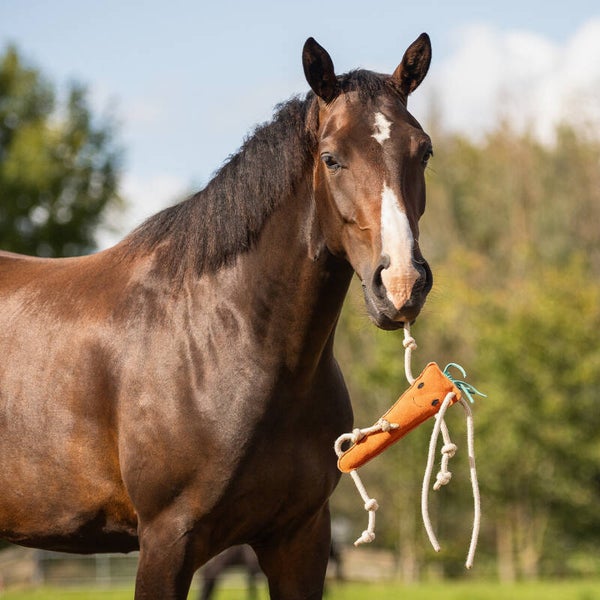 Jouet pour chevaux