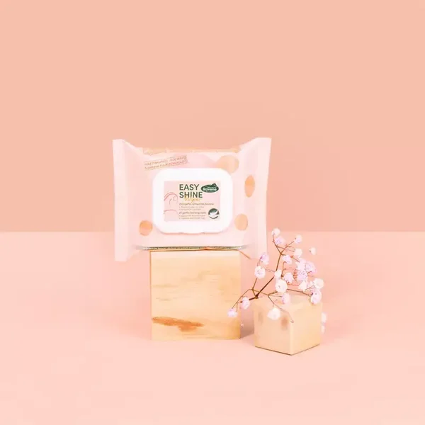 EASY SHINE WIPE - lingettes nettoyante