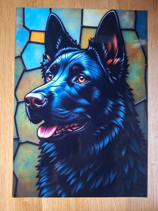 Black German Shepherd - A4 Prints