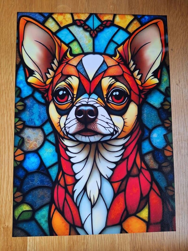 Chihuahua - A4 Prints
