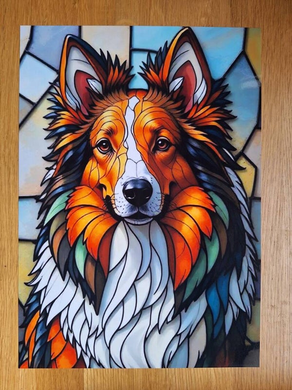 Sheltie Rough Collie - A4 Prints