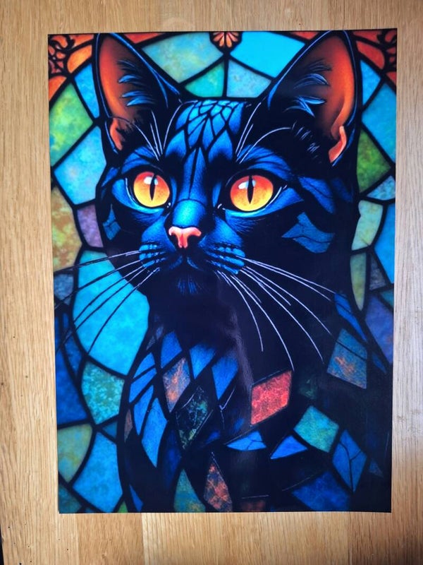 Black Cat - A4 Prints