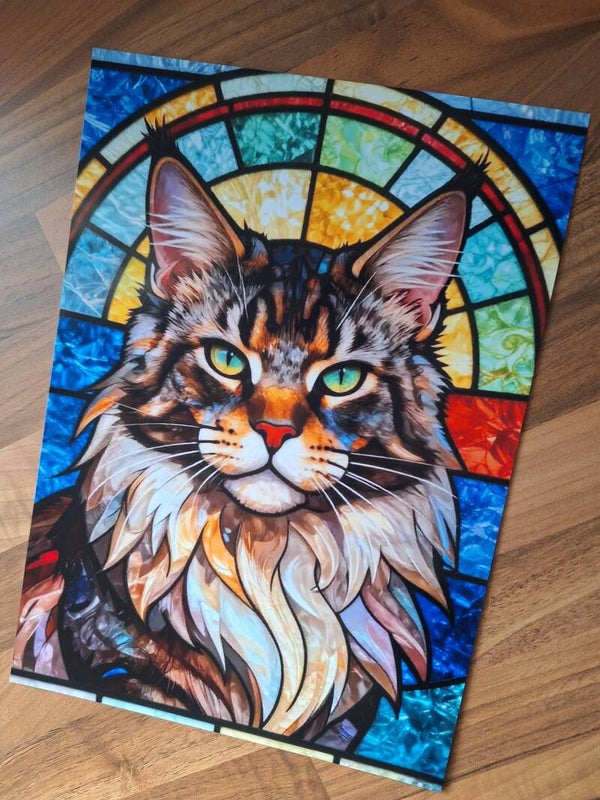 Maine Coon - A4 Prints