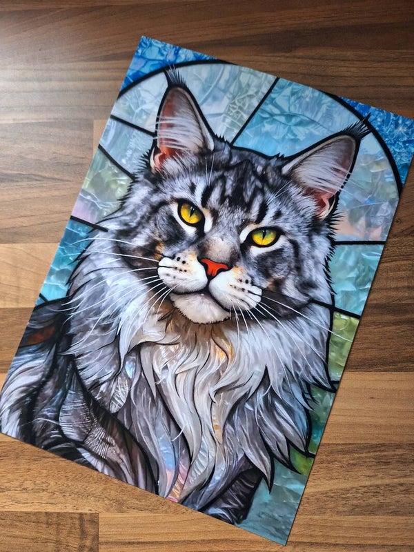 Maine Coon - A4 Prints