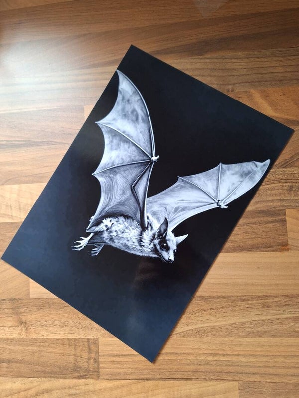 Black Bat - A4 Prints