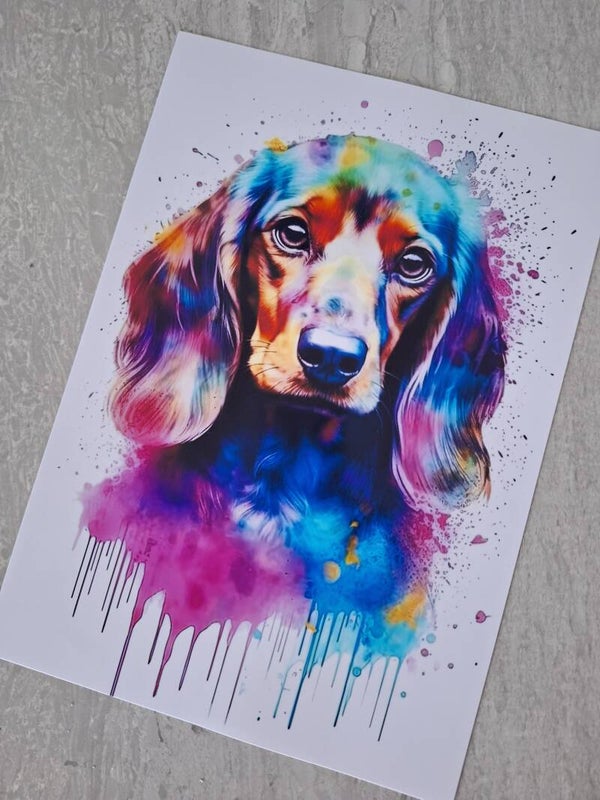 Dachshund - A4 Prints