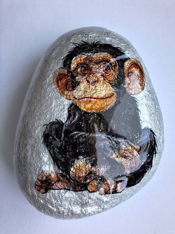 Cheeky Chimp - Pebble Art