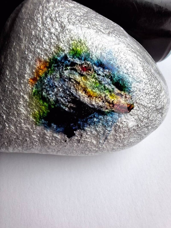 Caiman/Alligator - Pebble Art