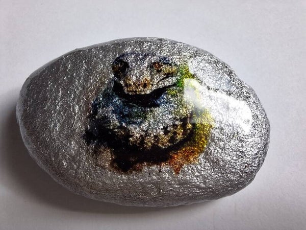 Snake - Pebble Art
