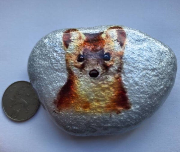 Pine Martin - Pebble Art