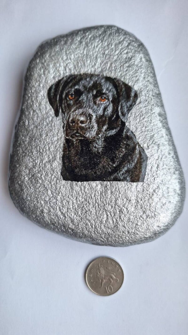 Black Labrador Retriever - Pebble Art