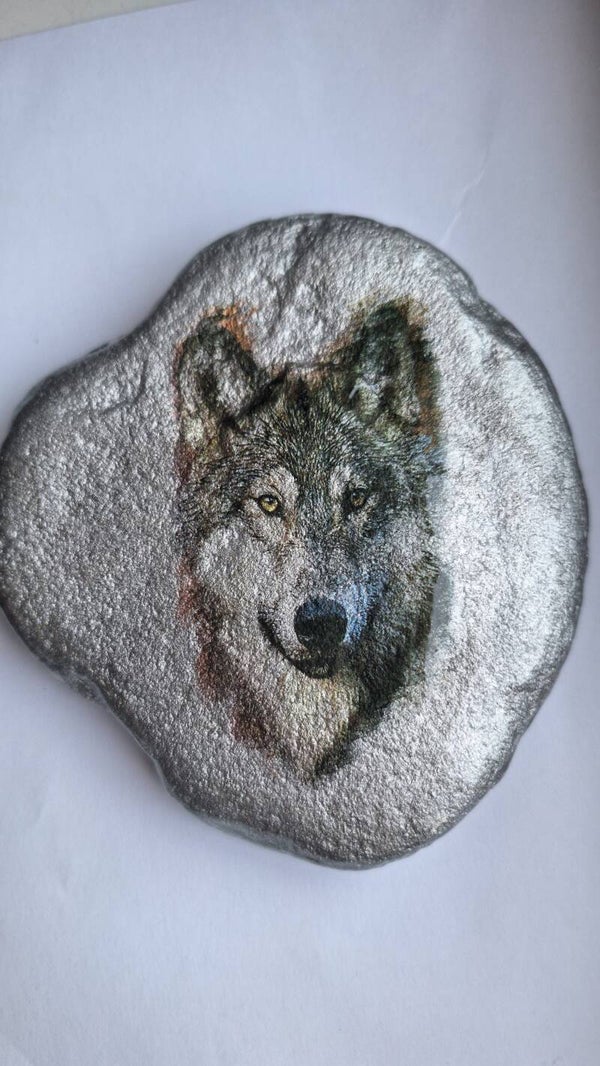 Colour Wolf - Pebble Art