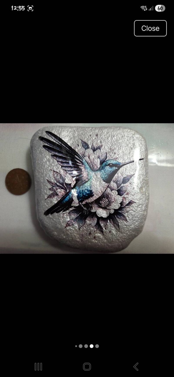 Teal Shimmer Hummingbird