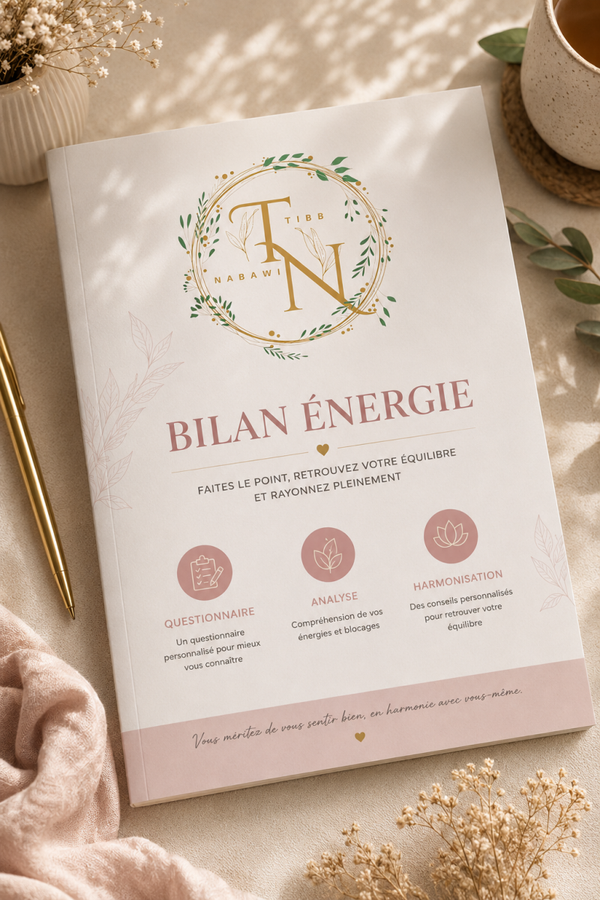 Mon Bilan Énergie — Livret Gratuit